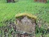 image of grave number 690109